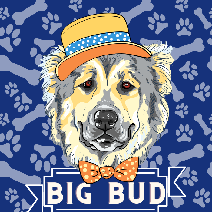Big Bud logo