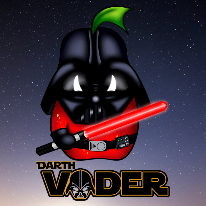 Darth Vader logo