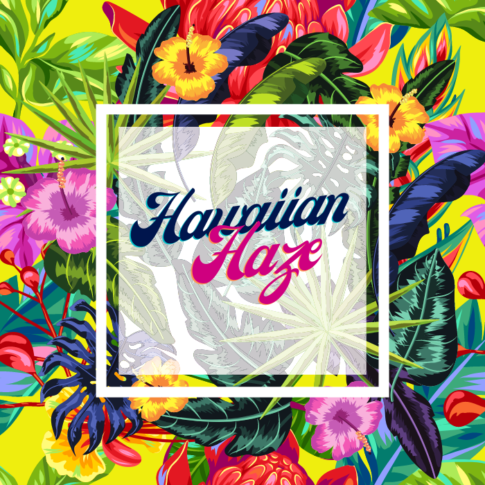 Hawaiian Haze logo