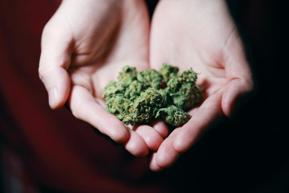 Marijuana Dispensaries & Weed Delivery in Ottawa | Cannabis Ontario