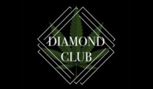 Diamond City Delivery Logo Banner