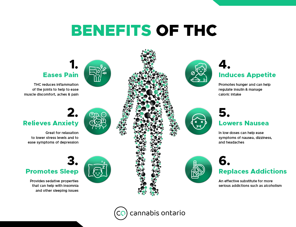 Benefits of THC Infographic