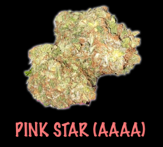 Pink Star (AAAA)