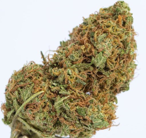 Sour Diesel Weed Strain