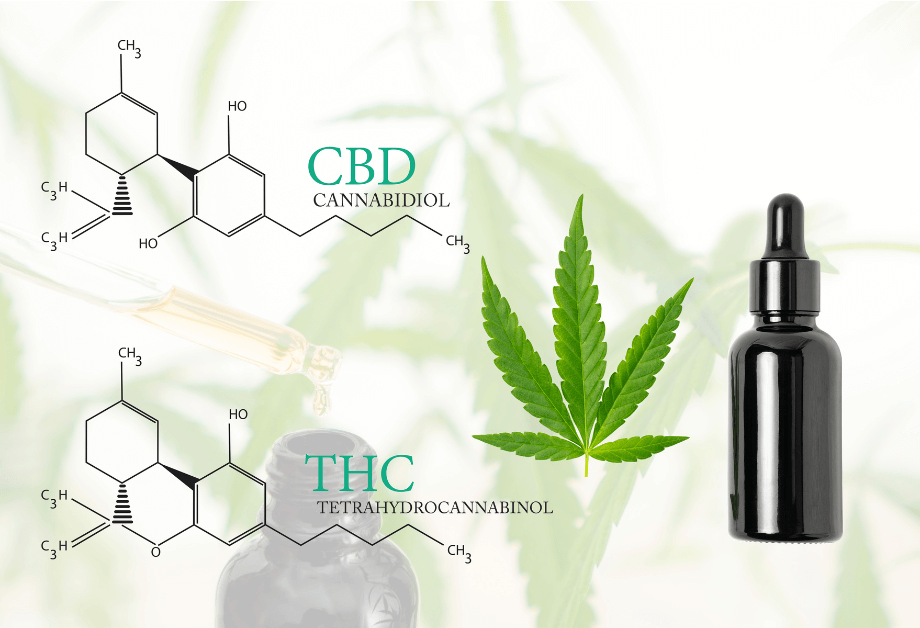 THC and CBD Oil