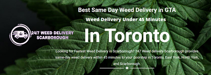 247 Weed Delivery Scarborough