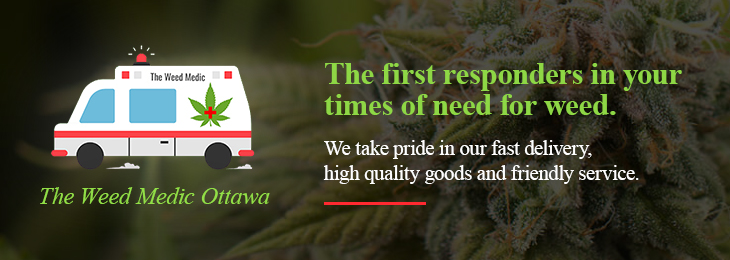The Weed Medic Ottawa