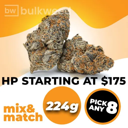 AA 224 (HP) – Mix & Match – Pick any 8