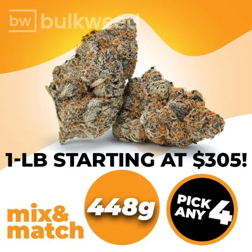 AA 448g (1 LB) – Mix & Match – Pick any 4