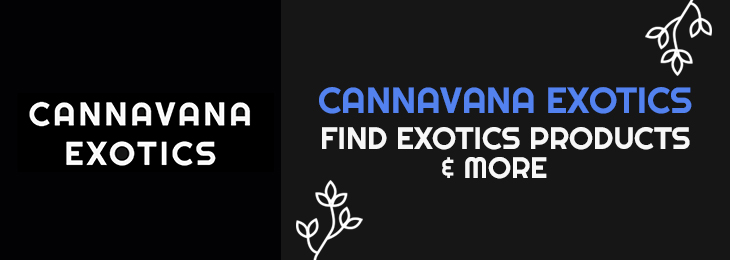 Cannavana Exotics