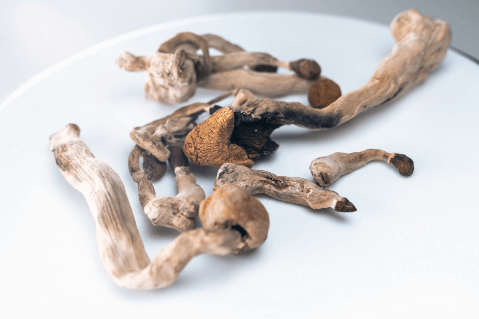 Where to Buy Psilocybin Online in Canada? 