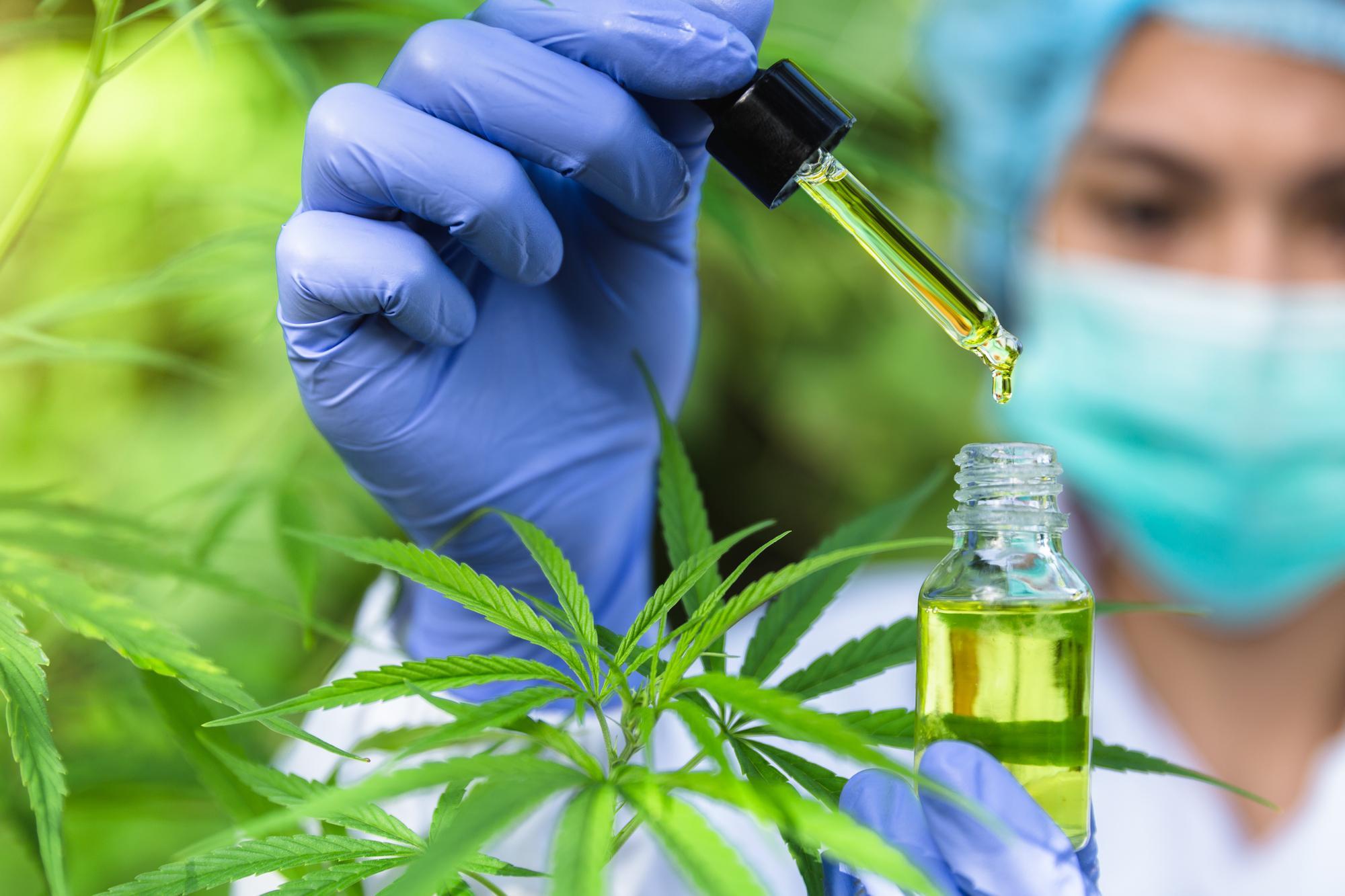 Why Buy CBD Oil In Ontario, Canada?
