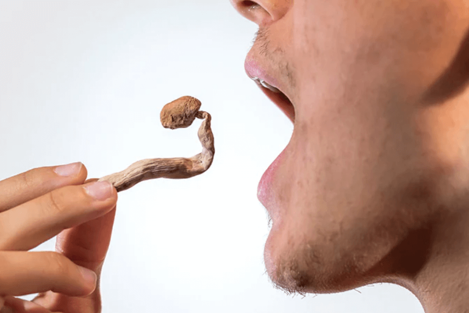 Factors Affecting How Mushrooms Feel Like