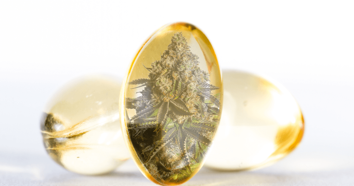 What are Cannabis Capsules (aka Weed Pills)?