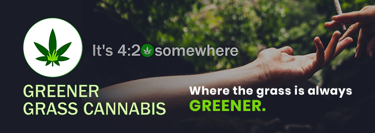 Greener Grass cannabis